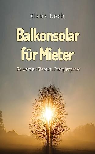 Balkonsolar für Mieter: So werden Sie zum Energiersparer
